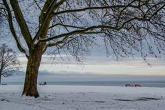 Erster Schnee am See in Arbon (Bild: Regina Rosin)