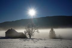 Wintermorgen in Gais (Bild: Toni Sieber)