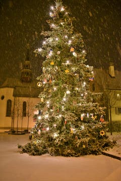 Lustgarten in Willisau. (Bild: Alfred Herzog (16. Dezember 2018))