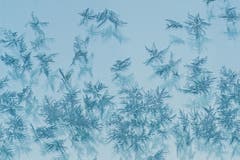 Eisblumen an einem Fenster beim Schlösslilift. (Bild: Franziska Hörler)