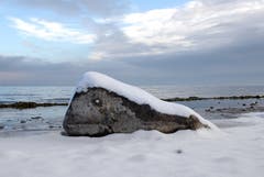Das "Monster" vom Bodensee in Güttingen. Bild: Barbara Weber)