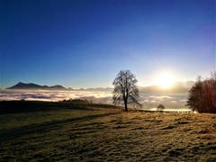 Wunderbarer Sonnenaufgang mit dem Nebelmeer und der herrlichen Aussicht auf die Berge. (Bild: Urs Gutfleisch (Sonnenberg, 18. Dezember 2018))