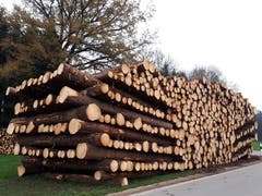 Imposante Holzbeige zwischen Räuchlisberg und Zihlschlacht (Bild: Ursula Huber)