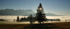 Sonne und Nebel auf dem Hohen Hirschberg (Bild: Manuela Treier)