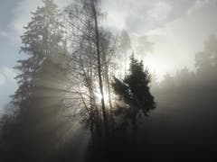 Die Sonne kämpft sich durch den Nebel bei Frauenfeld (Bild: Stephan Lendi)