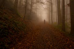 Auf dem Weg zum Chapf (Bild: Franziska Hörler)