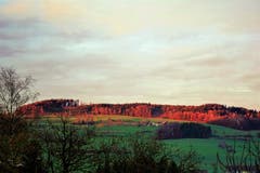 Die Strahlen der untergehenden Sonne reflektieren den Wald vom Stierenberg. (Bild: Josef Habermacher (Rickenbach, 1. Dezember 2018))