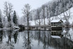 Der Wenigerweiher in St.Gallen im ersten Schnee (Bild: Willy Zimmermann)