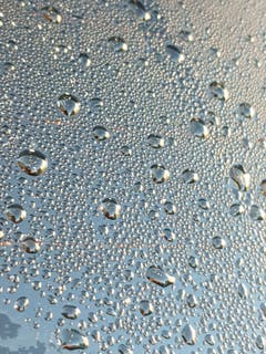 Wassertropfen am Glas. (Bild: Reto Schlegel)