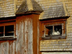 Katze hinter einem Fenster in einem Bauernhaus auf dem Hohen Hirschberg. (Bild: Doris Sieber)
