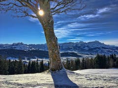 Der Oberer Gäbris im kommenden Winterkleid. (Bild: Toni Sieber)