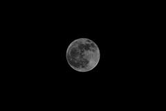 Vollmond, aufgenommen in Winikon. (Bild: Linus Brehm)