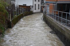 Auch die Zuflüsse zur Thur sind gut gefüllt. (Bild: Ruben Schönenberger)