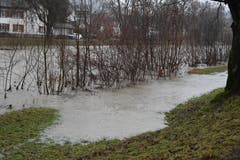 Entlang der Thur sind Flächen unter Wasser, die gerade dieses Jahr nur wenig mit Wasser in Berührung kamen. (Bild: Ruben Schönenberger)