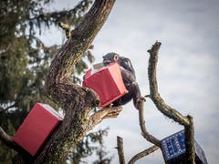(Bild: Hanspeter Schiess)
