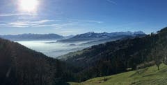 Der Nebel zieht ins Rheintal. (Bild: Toni Sieber)