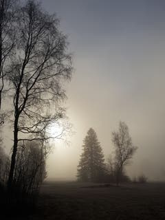 Sonne hinter dem Nebel ausserhalb Sitterdorf. (Bild: Reto Schlegel)