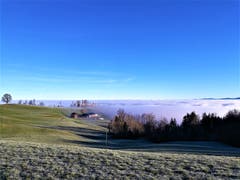 Strahlender Sonnenschein auf dem Holderchäppeli. (Bild: Urs Gutfleisch, 26. Dezember 2018)