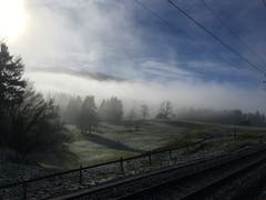 Der Nebel zieht vorbei. Weihnachtsspaziergang beim Stoss, Gais. (Bild: Barbara Büchel-Meier)