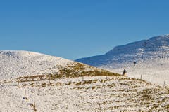 Unten grau ,oben blau. Aufgenommen in der Nähe von Schlatt. (Bild: Franziska Hörler)