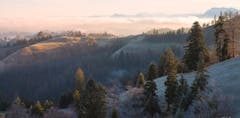 ÜBER dem Nebel ist`s immer am Schönsten. (Bild: Priska Ziswiler-Heller (Ahornalp, 25. Dezember 2018))