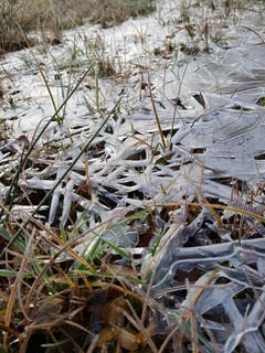 Eiskunst auf dem Gras im Naturschutzgebiet an der Thur. (Bild: Reto Schlegel)