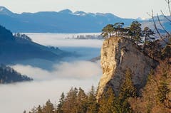 Aufgenommen auf dem Belchen. (Bild: Marianne Schmid (Belchen, 26. Dezember 2018))
