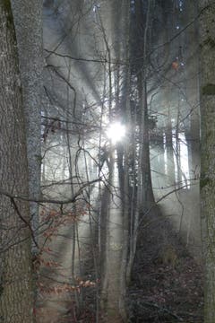 Feiertags Impressionen zwischen Kapfwald Richtung Freudenberg. (Bild: Patrizia Hemmer)