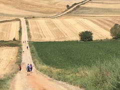 Malerische Landschaften prägen den Jakobsweg in Spanien.