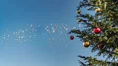 Weihnachten ade - der Frühling kann kommen! (Bild: Stefan Kunz (Basel, 26. Dezember 2018))