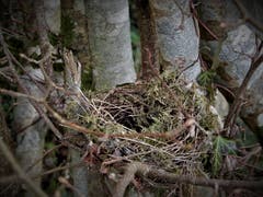 Da steckt bestimmt sehr viel Arbeit dahinter! Aufgenommen im Meggerwald. (Bild: Margrith Imhof-Röthlin, 26. Dezember 2018)