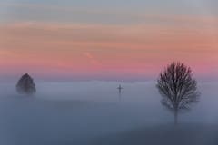 Chapf im Morgennebel. (Bild: Christian Wild)