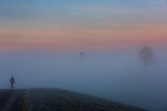 Morgenspaziergang auf dem Chapf. (Bild: Christian Wild)
