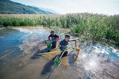 Forscherfreude: Um die Artenvielfalt untersuchen zu können, werden am Alpnachersee von Mitarbeitern von Aqua Bios Fische für eine Zählung aus dem Wasser geholt. (Bild: Keystone/Urs Flüeler (11. September 2018))