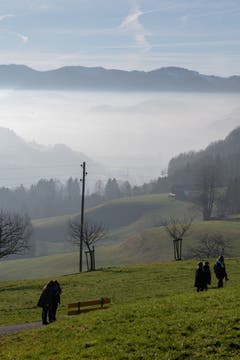 Auf dem Winzenberg - dem Thurgauer Nebel entflohen... (Bild: Thomas Segenreich)