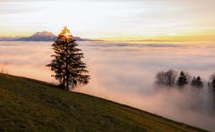 Sonnenuntergang auf dem Zugerberg (Bild: Daniel Hegglin (Zugerberg, 26. Dezember 2018))