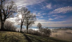 Heutige Morgenstimmung auf dem Wellberg (Bild: André Egli (Grosswangen, 28. Dezember 2018))
