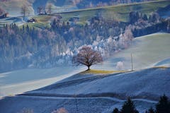 Oben warm unten bitter kalt, traumhaftes Napfgebiet. (Bild: Alfred Herzog, 27. Dezember 2018)