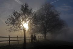 Morgenspaziergang an der Nebelgrenze. (Bild: André Egli (Grosswangen, 28. Dezember 2018))