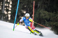 Ihr Einsatsz hat sich gelohnt. (Bild: EPA/CHRISTIAN BRUNA)
