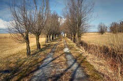 Der Weg zum Bodensee. (Bild: Toni Sieber)