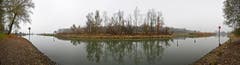Der stille Alte Rhein am Rheinspitz. (Bild: Walter Schmidt)