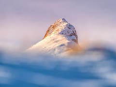 Der Fulfirst in der Morgensonne. Der Winter kommt. (Bild: Matthias Kopp)