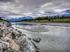 Trübe Tage am Rhein im Ruggell. (Bild: Toni Sieber)