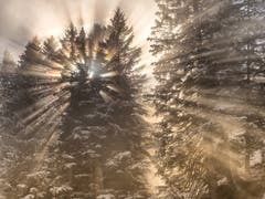 Die Sonnenstrahlen durchbrechen den Nebel und den Tannenwald. (Bild: Matthias Kopp)