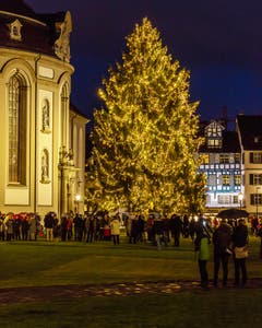 Der Christbaum auf dem Klosterplatz in St. Gallen am ersten Advent.(Bild: Daniel Widmer)