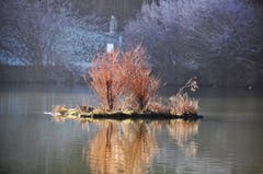 Ein sonniges Plätzchen für die Tiere am Gübsensee. (Bild: Irene Weibel)