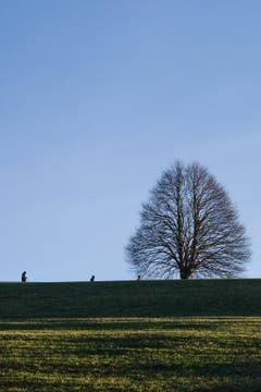 Auf dem Kapf: der Abendsonne entgegen. (Bild: Franz Häusler)