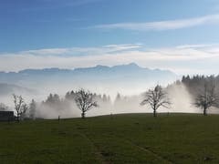 Steigender Nebel auf dem Tannenberg (Bild: Irene Weibel)