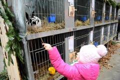 Diese kleine Besucherin zeigt besonderes Interesse am Kaninchen.